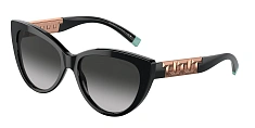 Солнцезащитные очки Tiffany 0TF4196/8001S4 