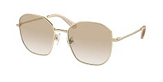 Солнцезащитные очки Swarovski 0SK7012D/401311