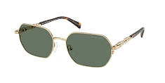 Солнцезащитные очки Michael Kors 0MK1165/189687