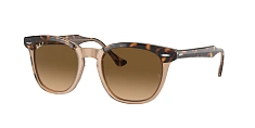 Солнцезащитные очки Ray-Ban 0RB2298/954/33 