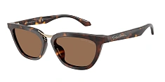 Солнцезащитные очки Giorgio Armani 0AR8253U 