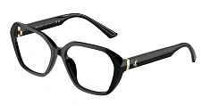 Оправа JIMMY CHOO 0JC3013U/5000