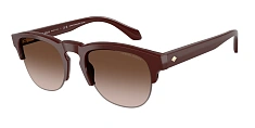 Солнцезащитные очки Giorgio Armani 0AR8238/587573 