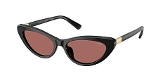 Солнцезащитные очки Polo Ralph Lauren 0PH4199U/5544/8 