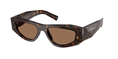 Солнцезащитные очки Prada 0PR B19S/29E90F 