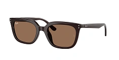 Солнцезащитные очки Ray-Ban 0RB4439D/710/87 