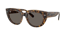 Солнцезащитные очки Ray-Ban 0RB2286/1413S3