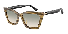 Солнцезащитные очки Emporio Armani 0EA4250U/62672C 