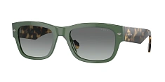 Солнцезащитные очки Vogue 0VO5530S/W65673 