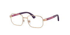 Оправа Ray-Ban  0RY1060/4095 