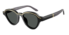 Солнцезащитные очки Emporio Armani 0EA4264U/50171W 