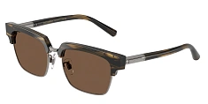 Солнцезащитные очки Dolce & Gabbana 0DG4522/501/1 