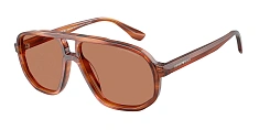 Солнцезащитные очки Emporio Armani 0EA4263U/632787 