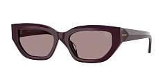 Солнцезащитные очки Burberry 0BE4463D/411687 
