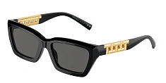 Солнцезащитные очки Tiffany 0TF4213/80153G 