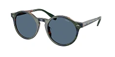 Солнцезащитные очки Polo Ralph Lauren 0PH4204U/567373 