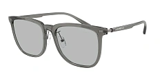 Солнцезащитные очки Emporio Armani 0EA4255D/628273 