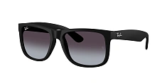 Солнцезащитные очки Ray-Ban 0RB4165/687380 