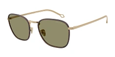 Солнцезащитные очки Giorgio Armani 0AR6164J/300111 