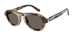 Солнцезащитные очки Giorgio Armani 0AR8244/6301B1 