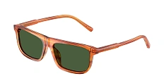 Солнцезащитные очки Dolce & Gabbana 0DX4009/348280 