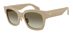 Солнцезащитные очки Giorgio Armani 0AR8223/502613 