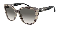 Солнцезащитные очки Emporio Armani 0EA4214U/50178G 