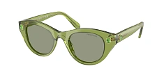 Солнцезащитные очки Swarovski 0SK6025/3002/2 