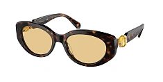 Солнцезащитные очки Swarovski 0SK6002/10079C 