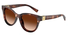 Солнцезащитные очки Dolce & Gabbana 0DG4533/501/8G 