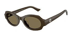 Солнцезащитные очки Giorgio Armani 0AR8245HU/6306/1 