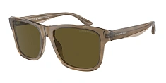 Солнцезащитные очки Emporio Armani 0EA4208/605187 