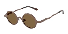 Солнцезащитные очки Emporio Armani 0EA2166/3001/2 