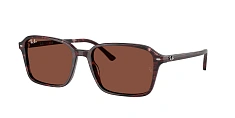 Солнцезащитные очки Ray-Ban 0RB2231/901/31 