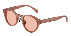 Солнцезащитные очки Moncler 0ME6017D/3002/7 