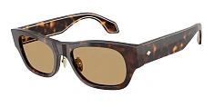 Солнцезащитные очки Giorgio Armani 0AR8224/61582A 